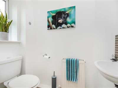 Picture 9